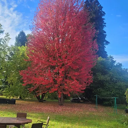 A La Campagne 3 Etoiles A 30min Des Pistes De Mont Dore Sancy Daire