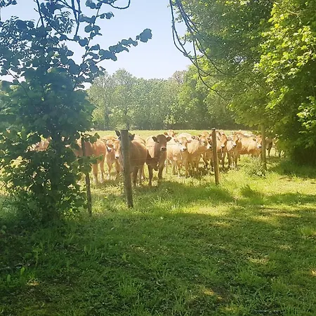 A La Campagne 3 Etoiles A 30min Des Pistes De Mont Dore Sancy
