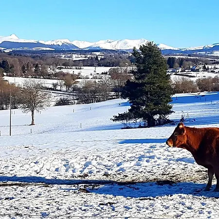 Apartment A La Campagne 4 Etoiles A 30min Des Pistes De Mont Dore Sancy *