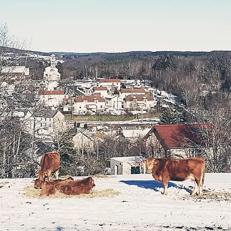 A La Campagne 3 Etoiles A 30min Des Pistes De Mont Dore Sancy アパート Messeix