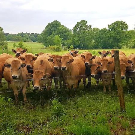 アパート A La Campagne 3 Etoiles A 30min Des Pistes De Mont Dore Sancy Messeix