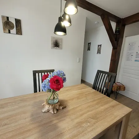 A La Campagne 4 Etoiles A 30min Des Pistes De Mont Dore Sancy Apartment